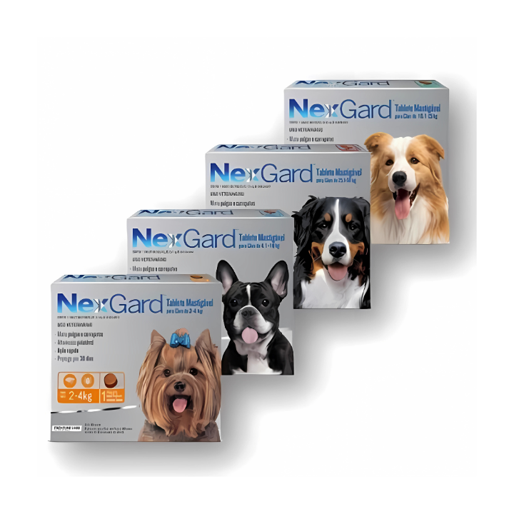 nexgard antipulgas todos os portes